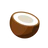 Coconut